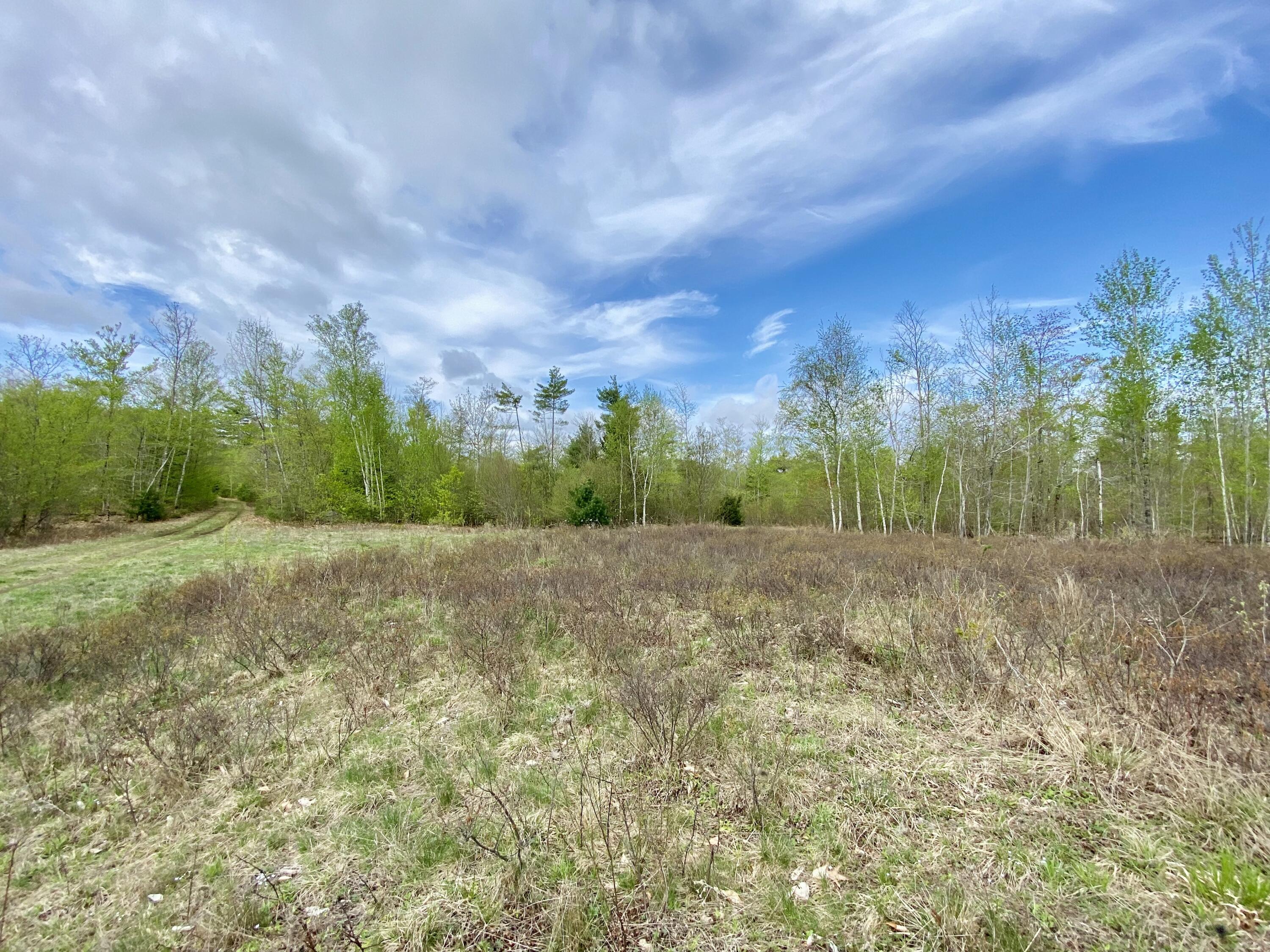 65-ac Town Farm Road West Baldwin, ME 04091 - Photo 6 of 16 IMG_2752