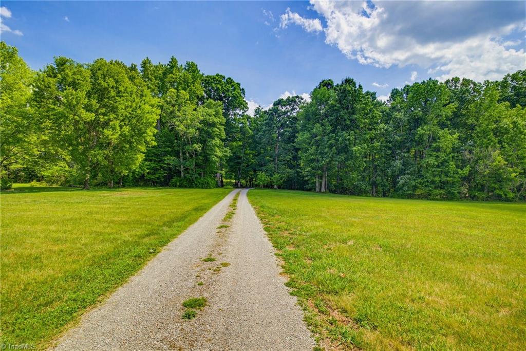 7160 Highway 700 Ruffin, NC 27326 - Photo 3 of 41