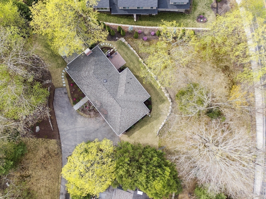 3 B Pelham Road Lexington, MA 02421 - Photo 37 of 41 a view of swimming pool with a yard