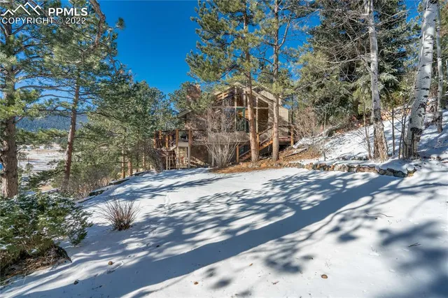 a view of a yard with plants and trees