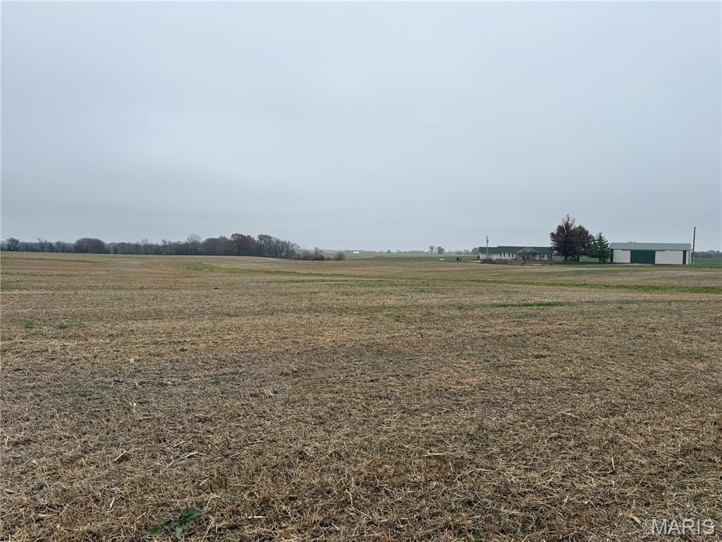 0 Crook Red Bud, IL 62278 - Photo 14 of 31