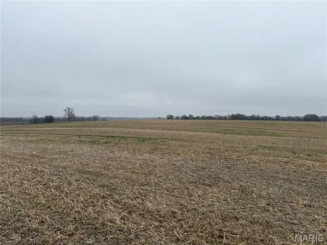 $1,620,000 | 0 Crook, Red Bud, IL 62278