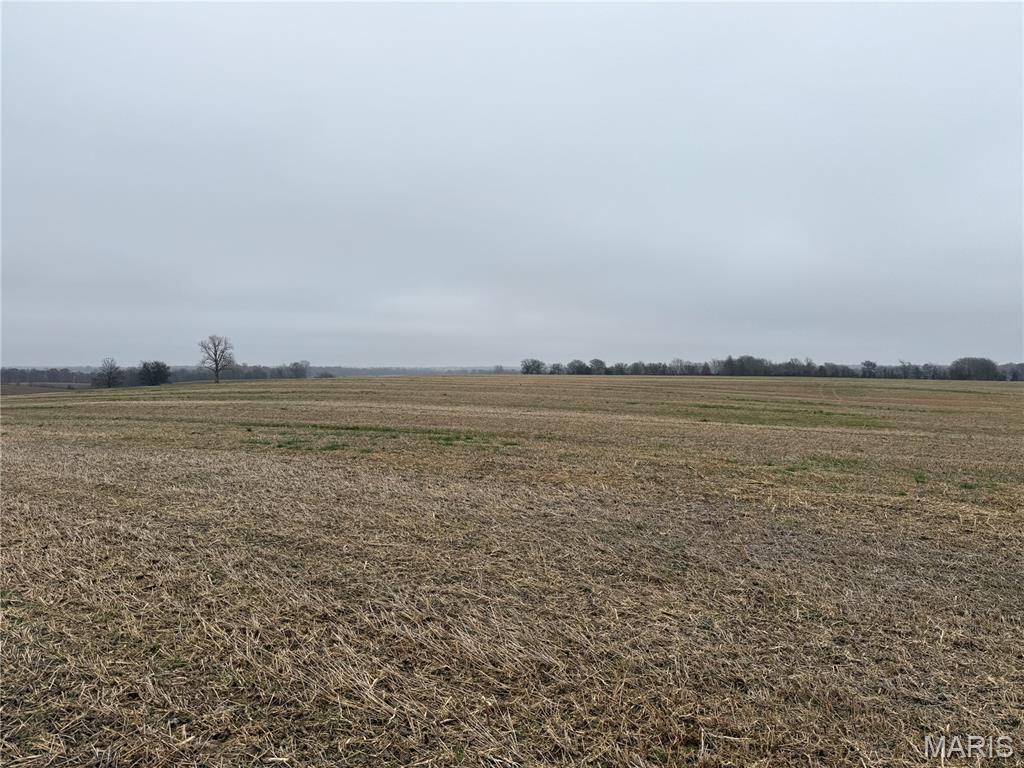 0 Crook Red Bud, IL 62278 - Photo 15 of 31