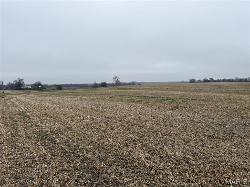 0 Crook Red Bud, IL 62278 - Photo 16 of 31