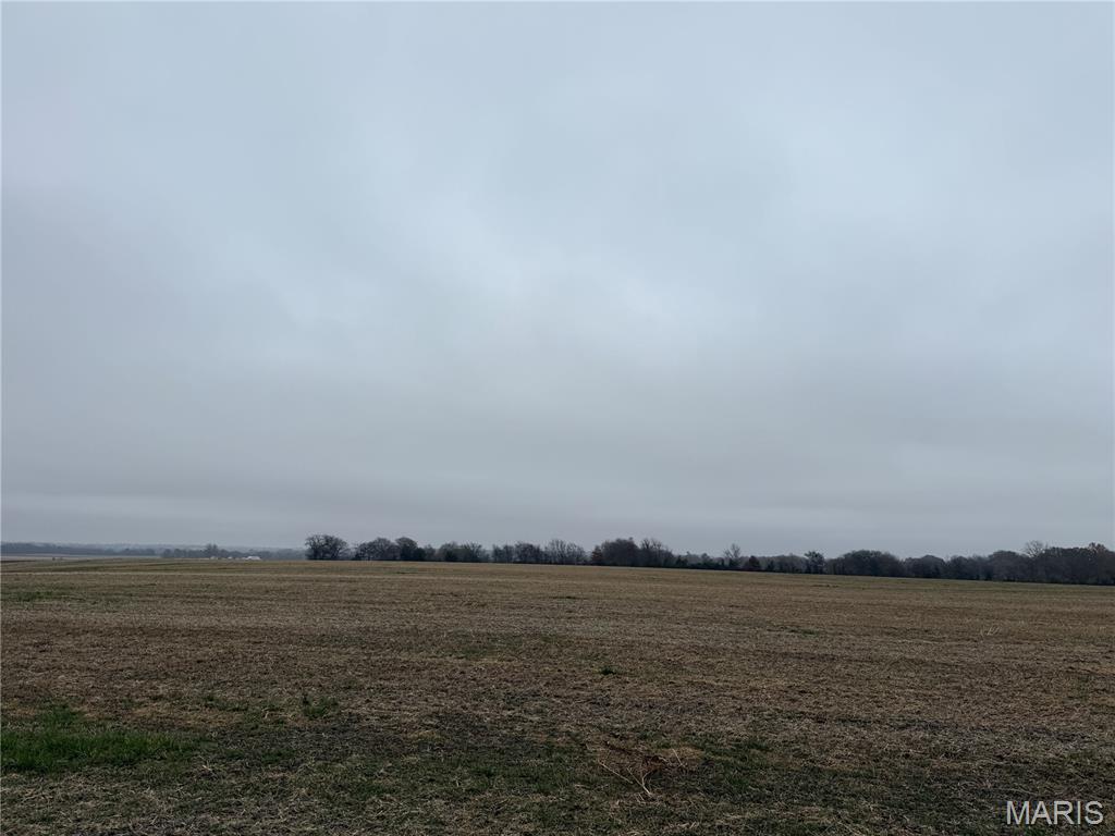 0 Crook Red Bud, IL 62278 - Photo 18 of 31