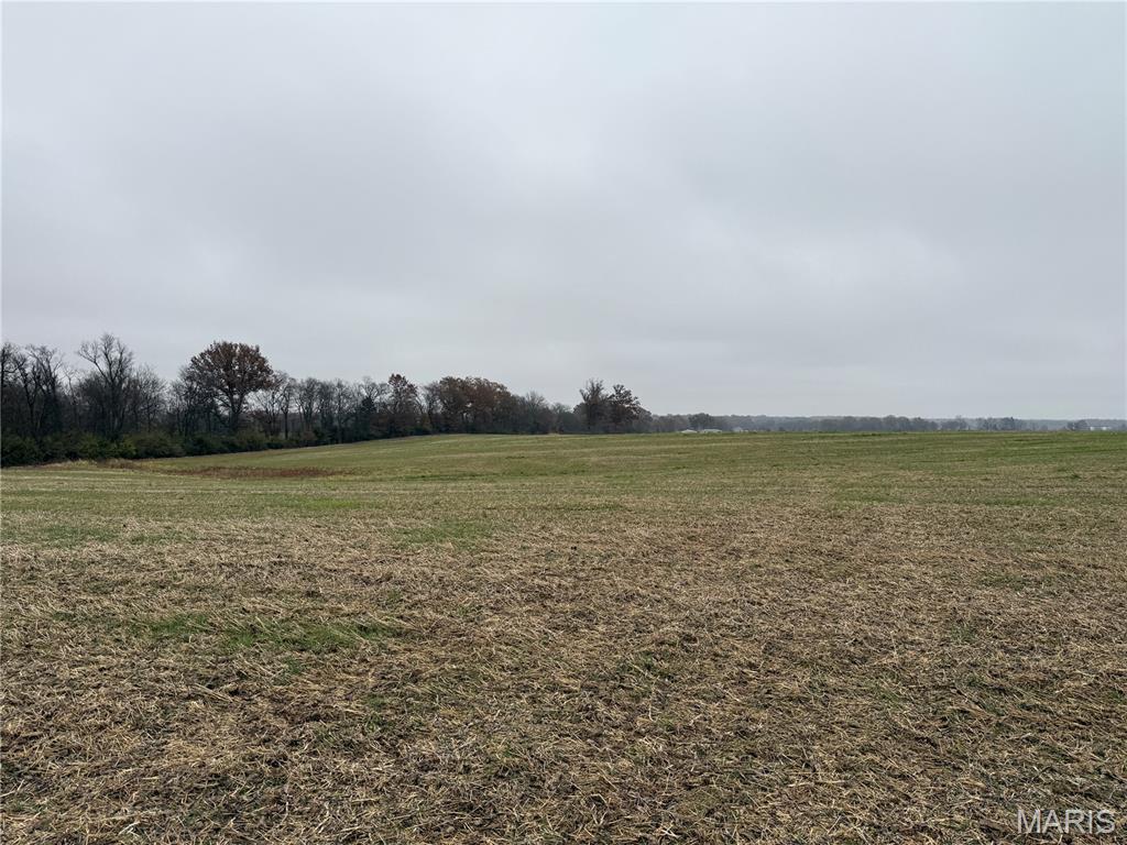 0 Crook Red Bud, IL 62278 - Photo 20 of 31