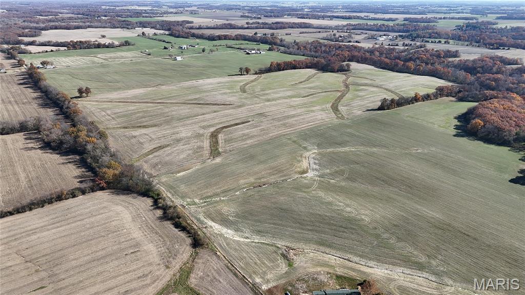 0 Crook Red Bud, IL 62278 - Photo 2 of 31