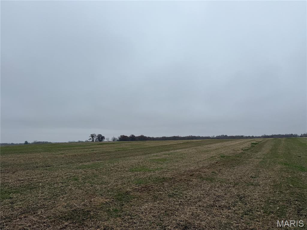 0 Crook Red Bud, IL 62278 - Photo 21 of 31