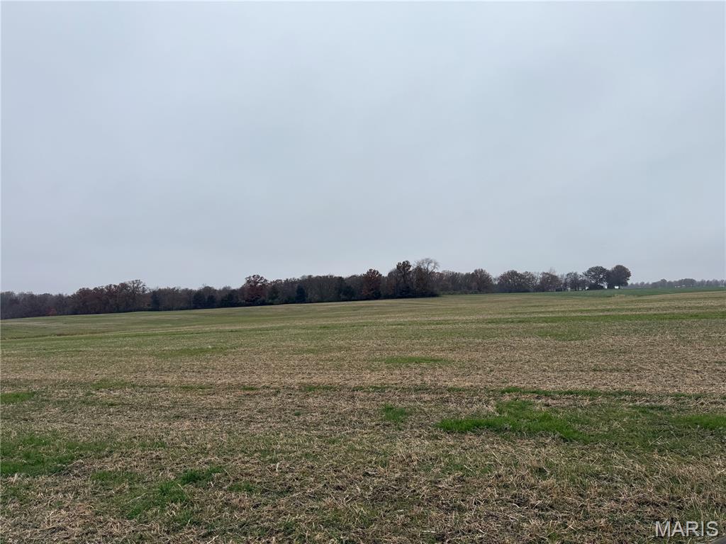 0 Crook Red Bud, IL 62278 - Photo 24 of 31