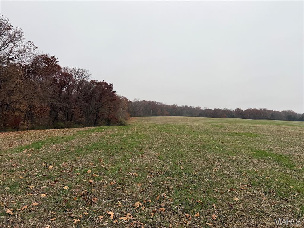 0 Crook Red Bud, IL 62278 - Photo 25 of 31