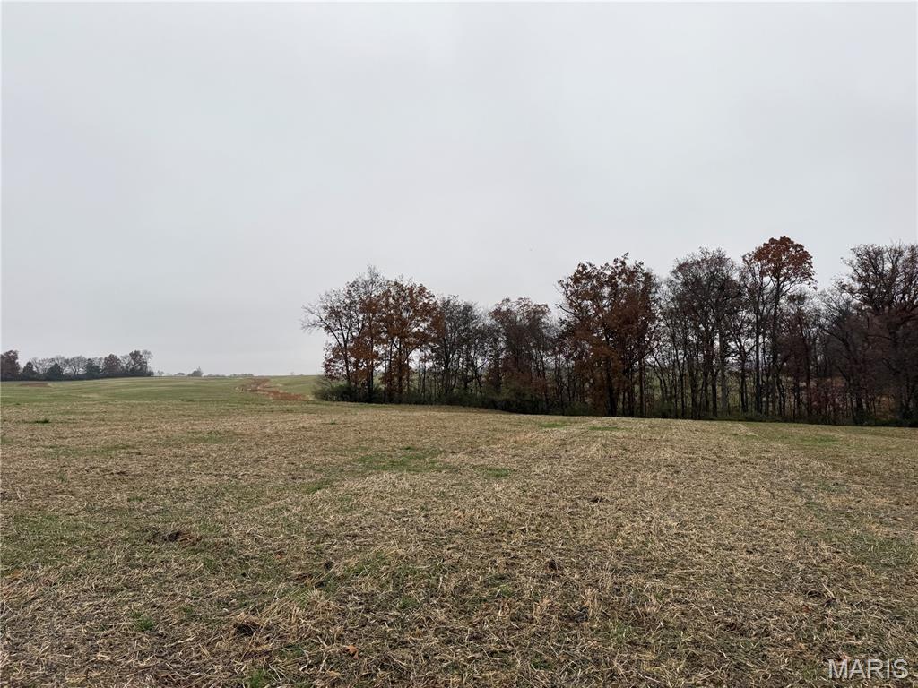 0 Crook Red Bud, IL 62278 - Photo 27 of 31