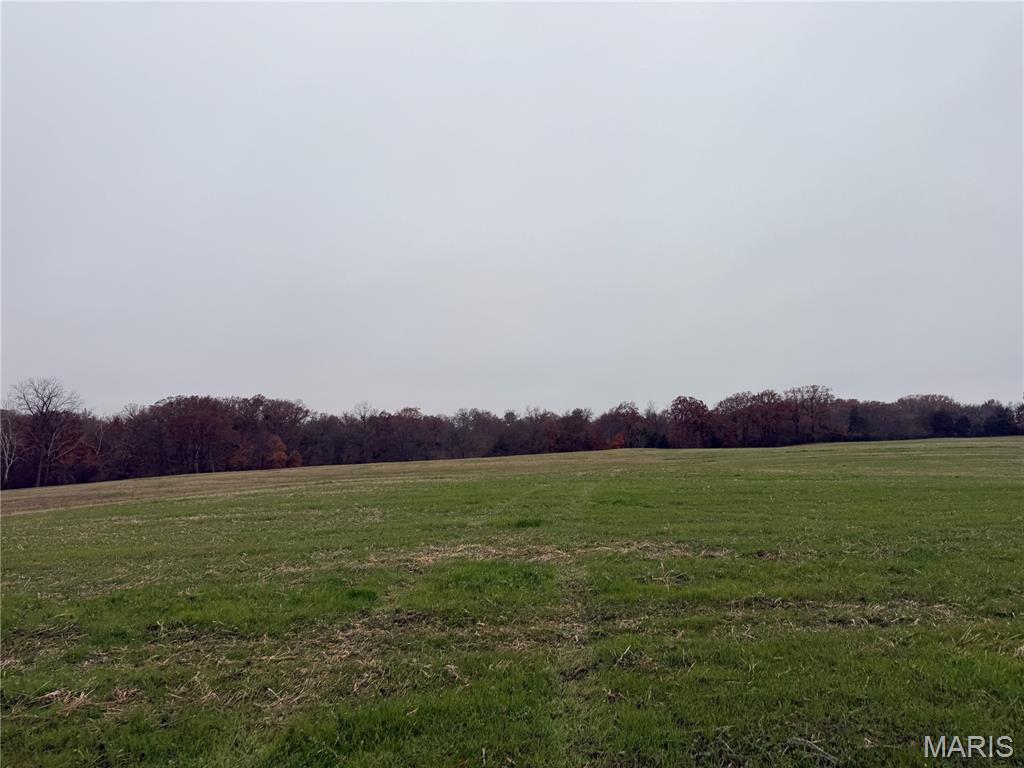 0 Crook Red Bud, IL 62278 - Photo 28 of 31