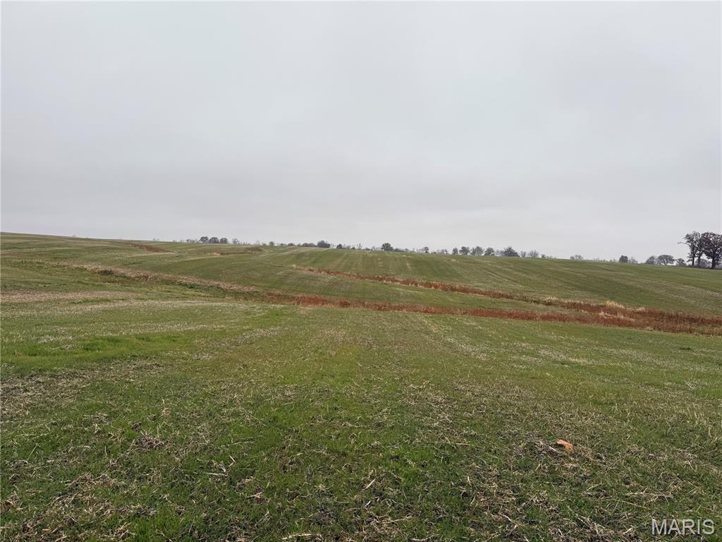 0 Crook Red Bud, IL 62278 - Photo 29 of 31