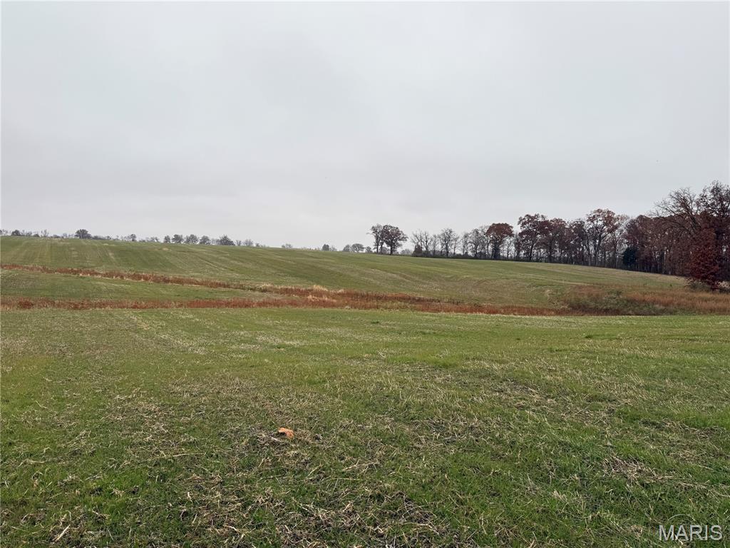 0 Crook Red Bud, IL 62278 - Photo 30 of 31