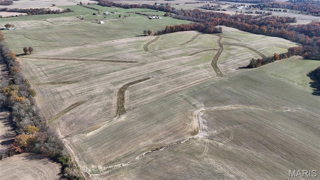 0 Crook Red Bud, IL 62278 - Photo 3 of 31