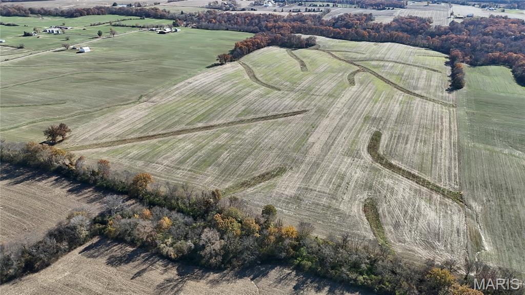 0 Crook Red Bud, IL 62278 - Photo 4 of 31