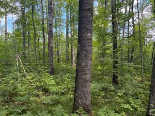 64838 Kingsdale Road Sandstone, MN 55072 - Photo 12 of 22