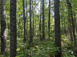 $99,900 | 64838 Kingsdale Road, Sandstone, MN 55072