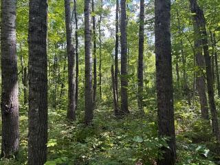 64838 Kingsdale Road Sandstone, MN 55072 - Photo 13 of 22