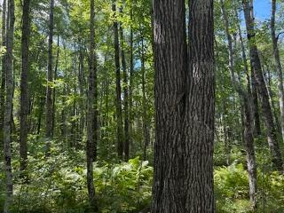 64838 Kingsdale Road Sandstone, MN 55072 - Photo 14 of 22