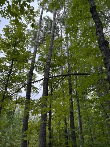 $99,900 | 64838 Kingsdale Road, Sandstone, MN 55072