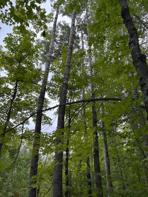 64838 Kingsdale Road Sandstone, MN 55072 - Photo 16 of 22