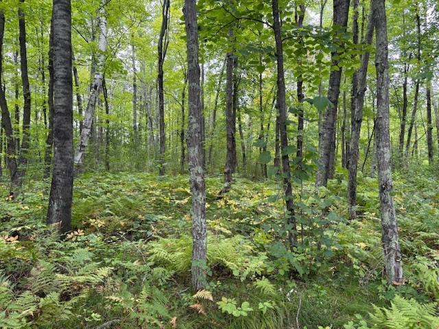 64838 Kingsdale Road Sandstone, MN 55072 - Photo 17 of 22