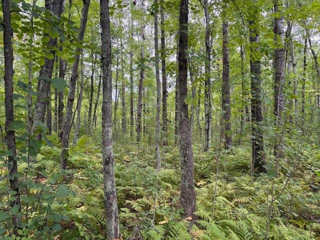 64838 Kingsdale Road Sandstone, MN 55072 - Photo 18 of 22