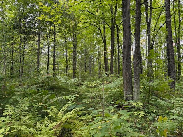 64838 Kingsdale Road Sandstone, MN 55072 - Photo 19 of 22