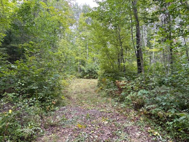 64838 Kingsdale Road Sandstone, MN 55072 - Photo 21 of 22