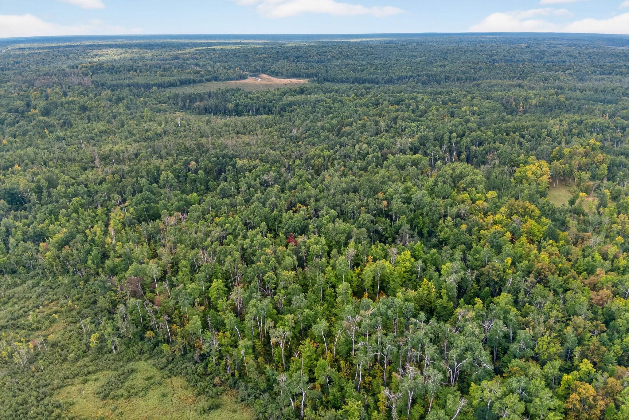 64838 Kingsdale Road Sandstone, MN 55072 - Photo 6 of 22