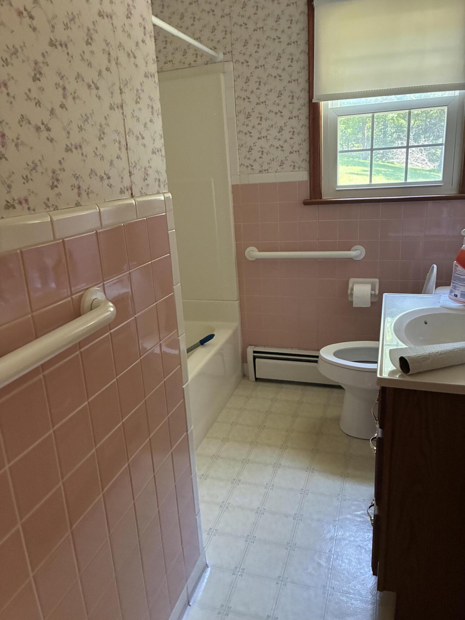 105 Berry Ridge Road Buchanan, VA 24066 - Photo 16 of 19 IMG_0166 (1)