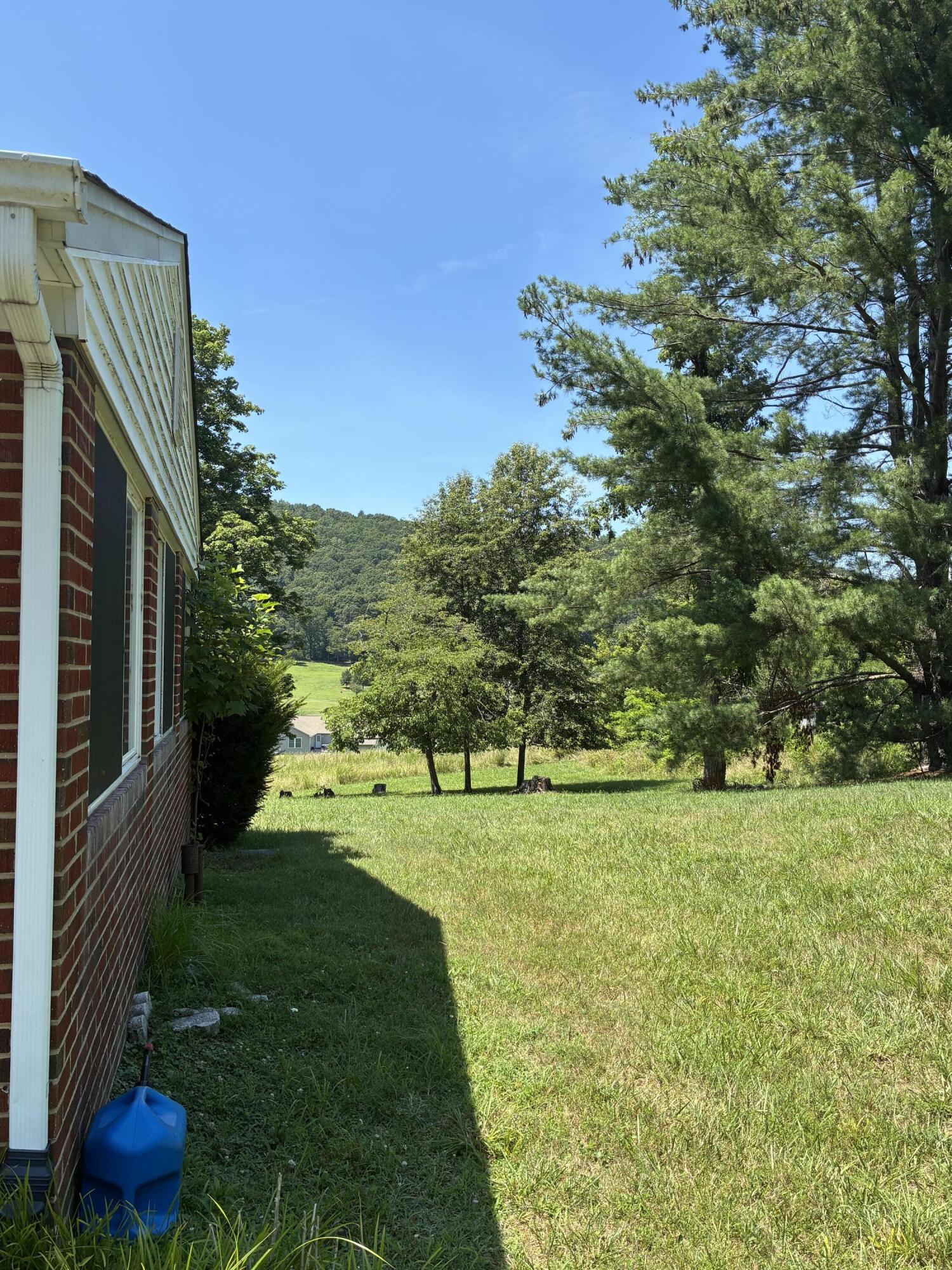105 Berry Ridge Road Buchanan, VA 24066 - Photo 4 of 19 IMG_0178 (1)