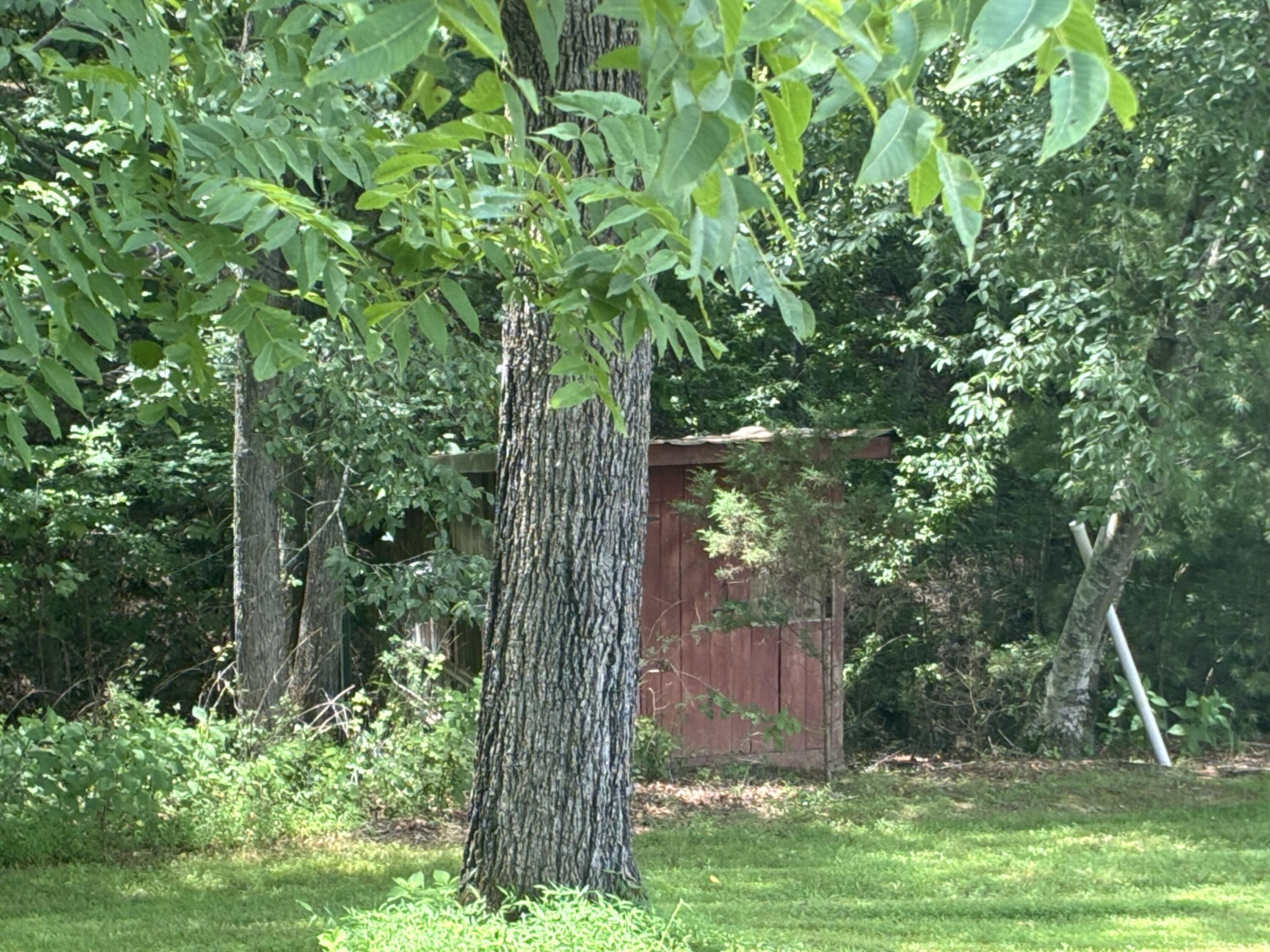 105 Berry Ridge Road Buchanan, VA 24066 - Photo 6 of 19 IMG_0195 (1)