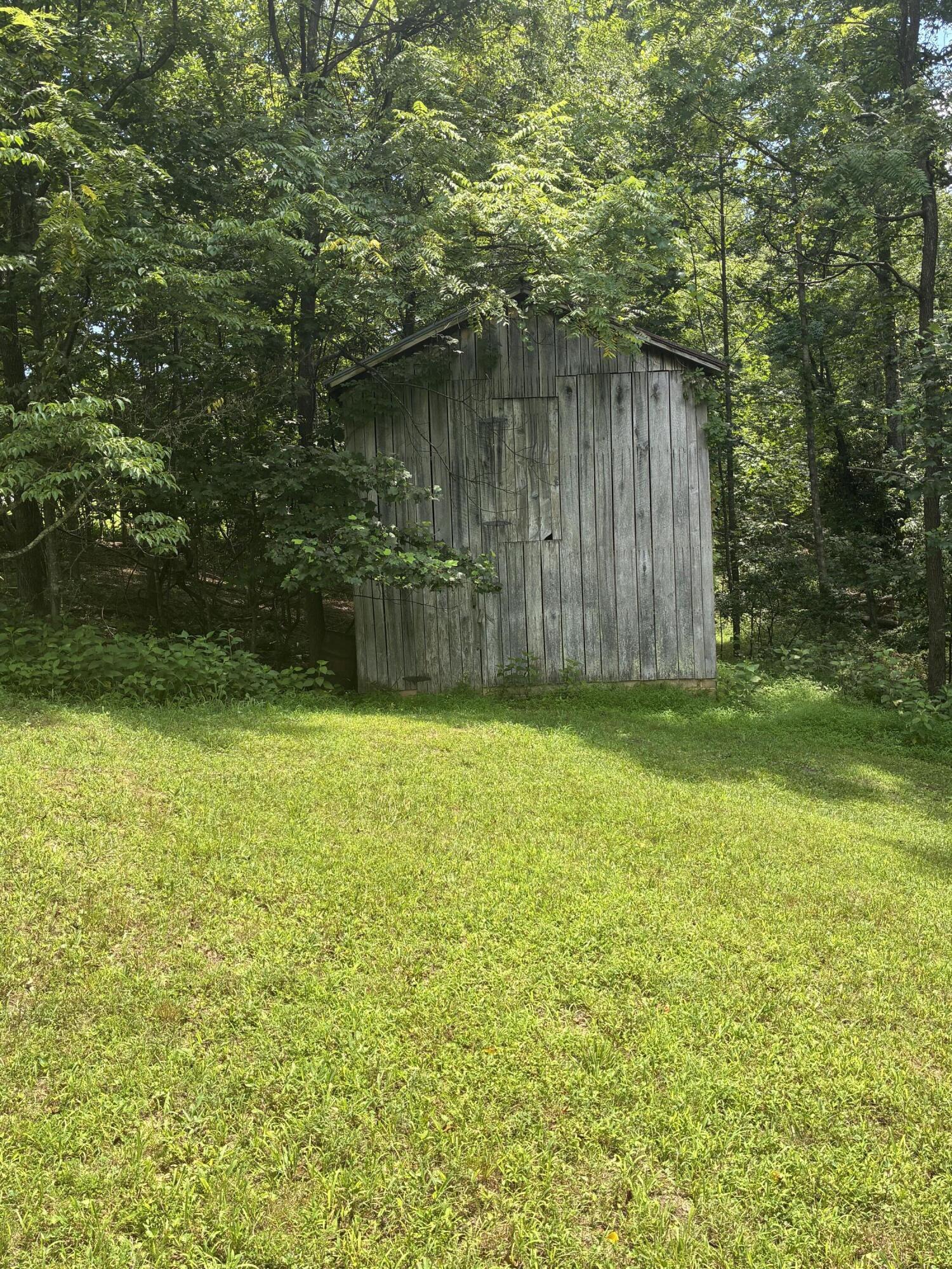 105 Berry Ridge Road Buchanan, VA 24066 - Photo 7 of 19 IMG_0197 (1)