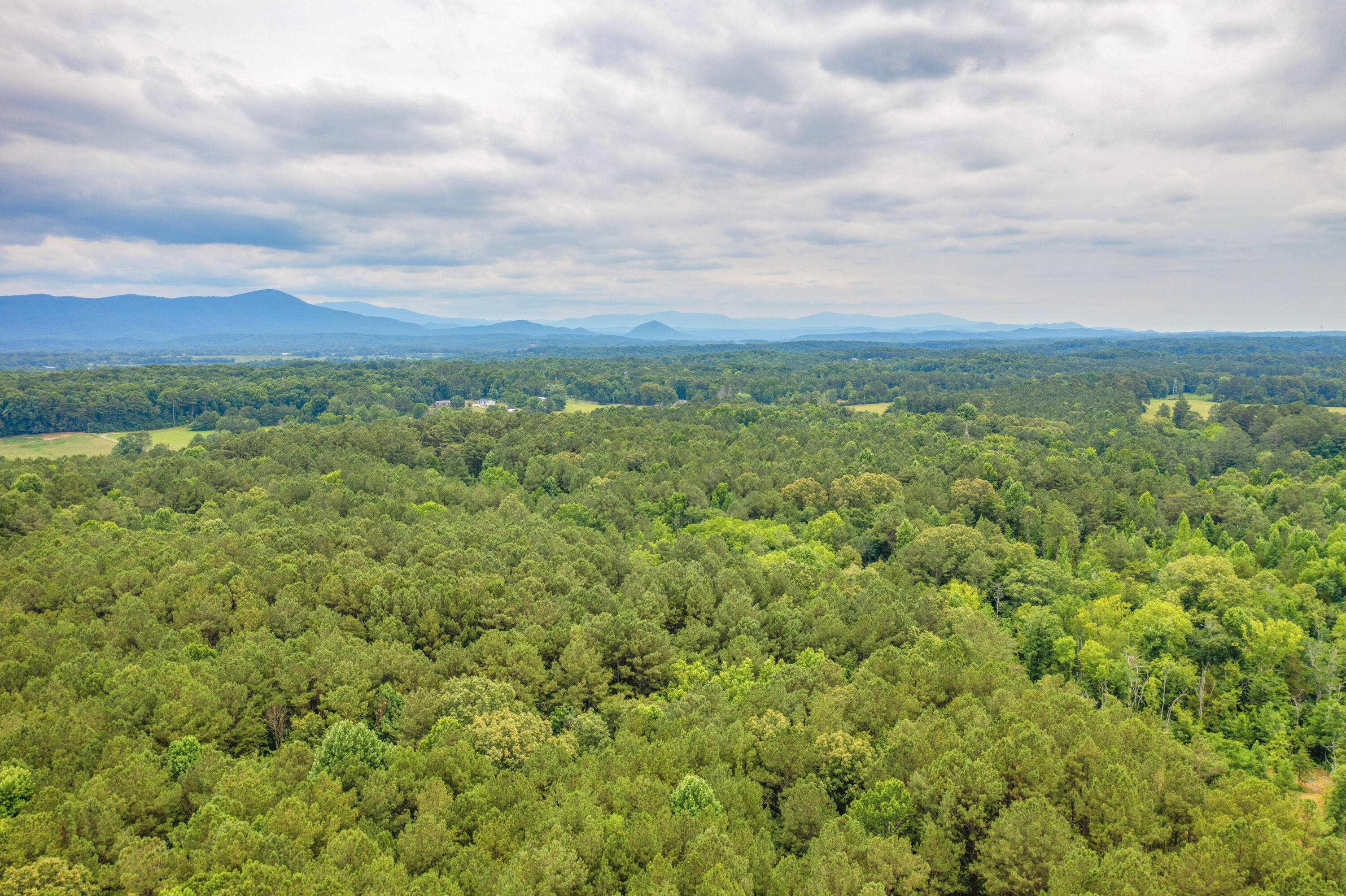 314 Mt Harmon Road, Unit 1 Charleston, TN 37310 - Photo 1 of 7 6