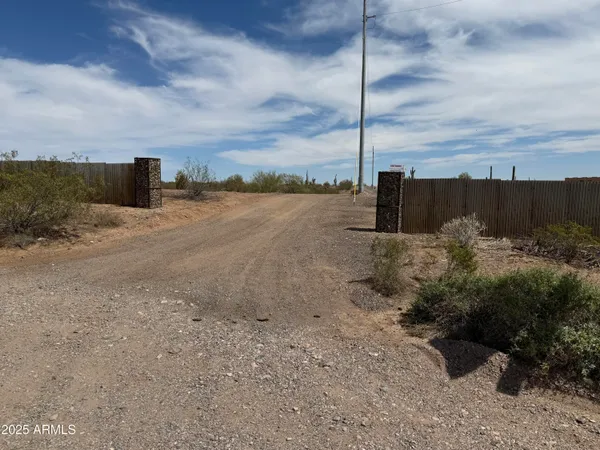 a view of a dry yard