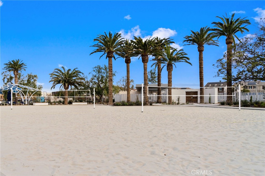 134 Stellar Irvine, CA 92618 - Photo 39 of 49 a view of beach and palm trees