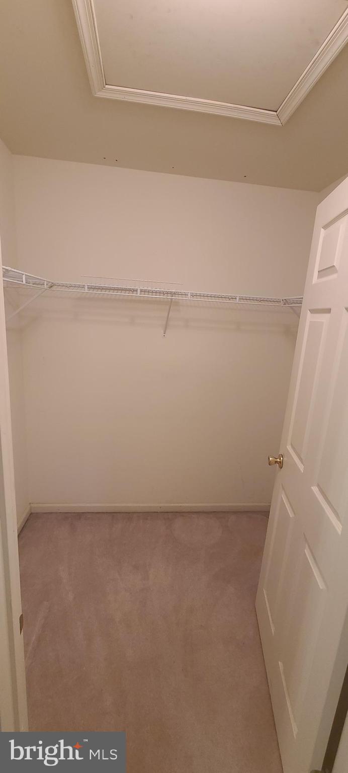 25 Amberfield Road Trenton, NJ 08691 - Photo 23 of 41 Master Bedroom Walk-in Closet (one of two)