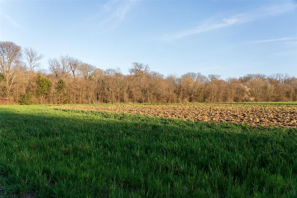 0 Slate Rock Road Ennis, TX 75119 - Photo 34 of 40 a view of a field with trees in background