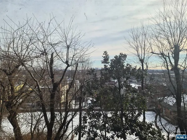 a backyard of a house with lots of trees