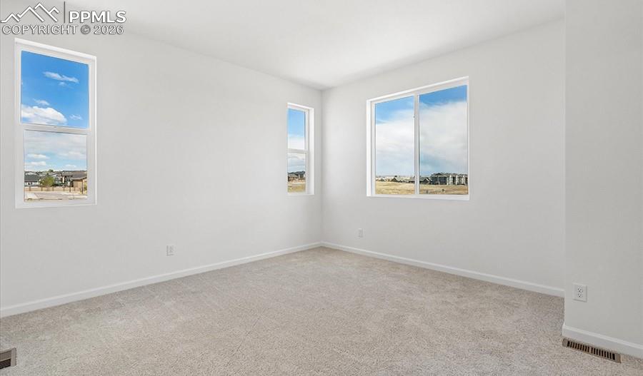 2485 Serviceberry Grove Colorado Springs, CO 80915 - Photo 14 of 22