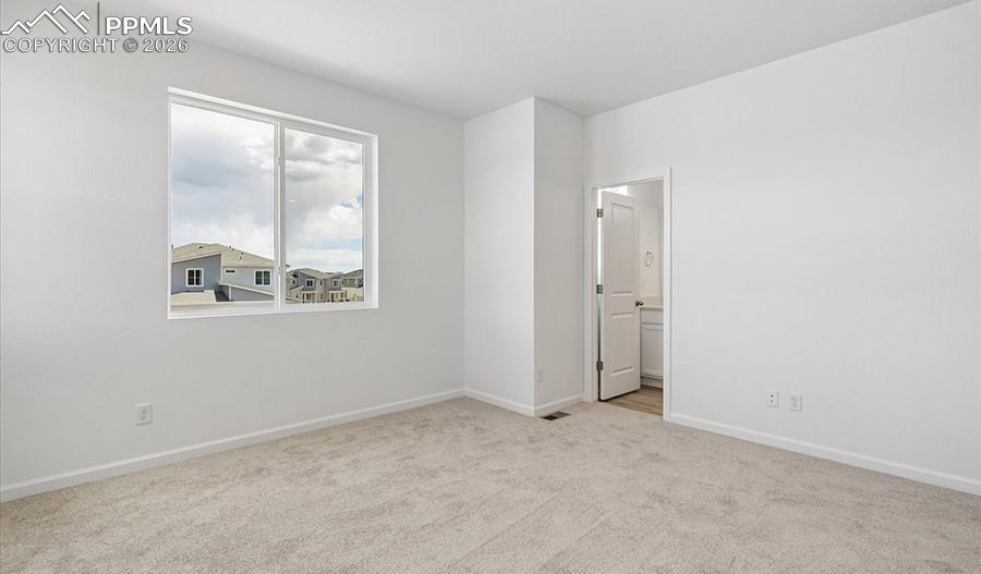 2485 Serviceberry Grove Colorado Springs, CO 80915 - Photo 16 of 22
