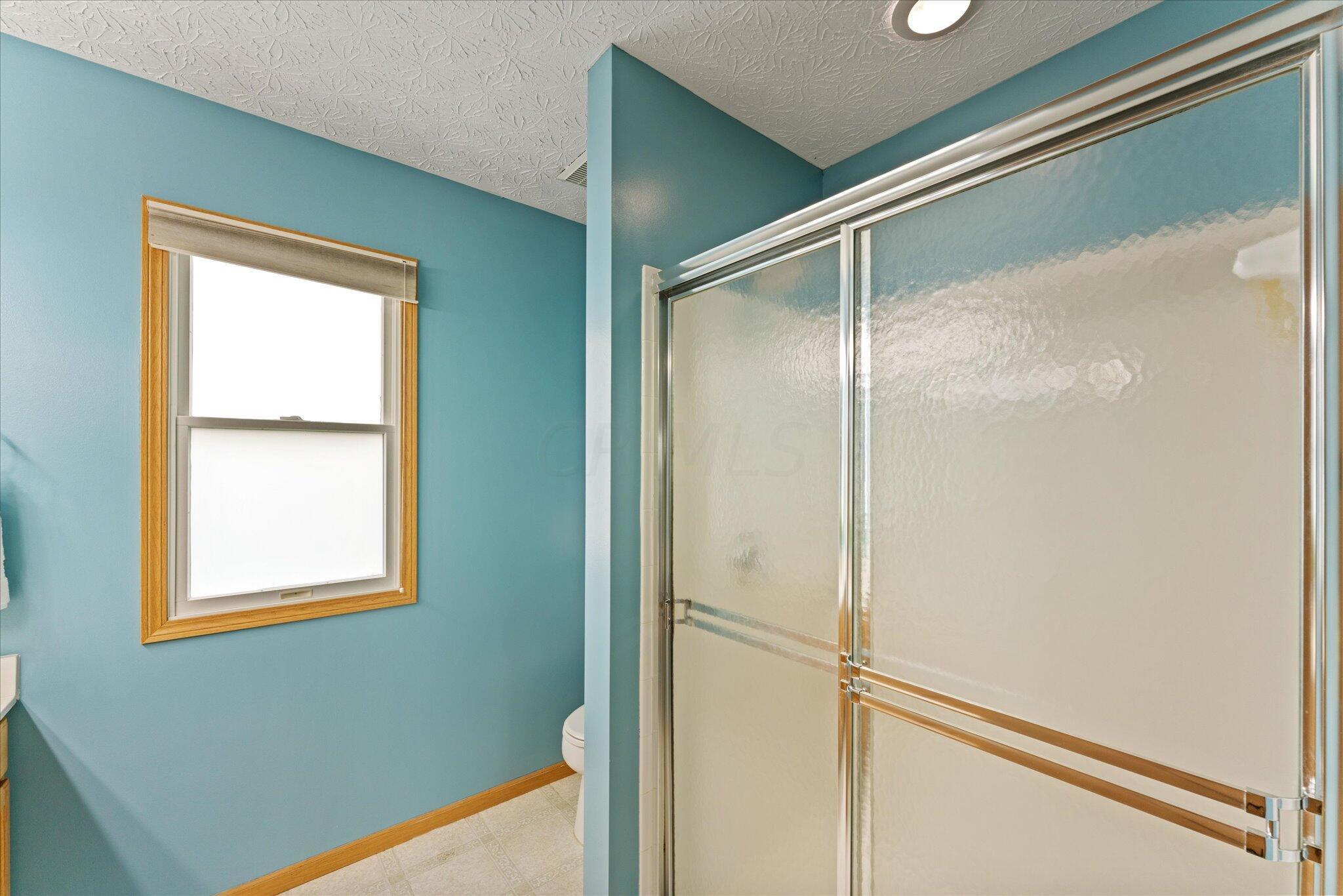 516 Cricket Run Road Lewis Center, OH 43035 - Photo 21 of 39 Primary Bathroom