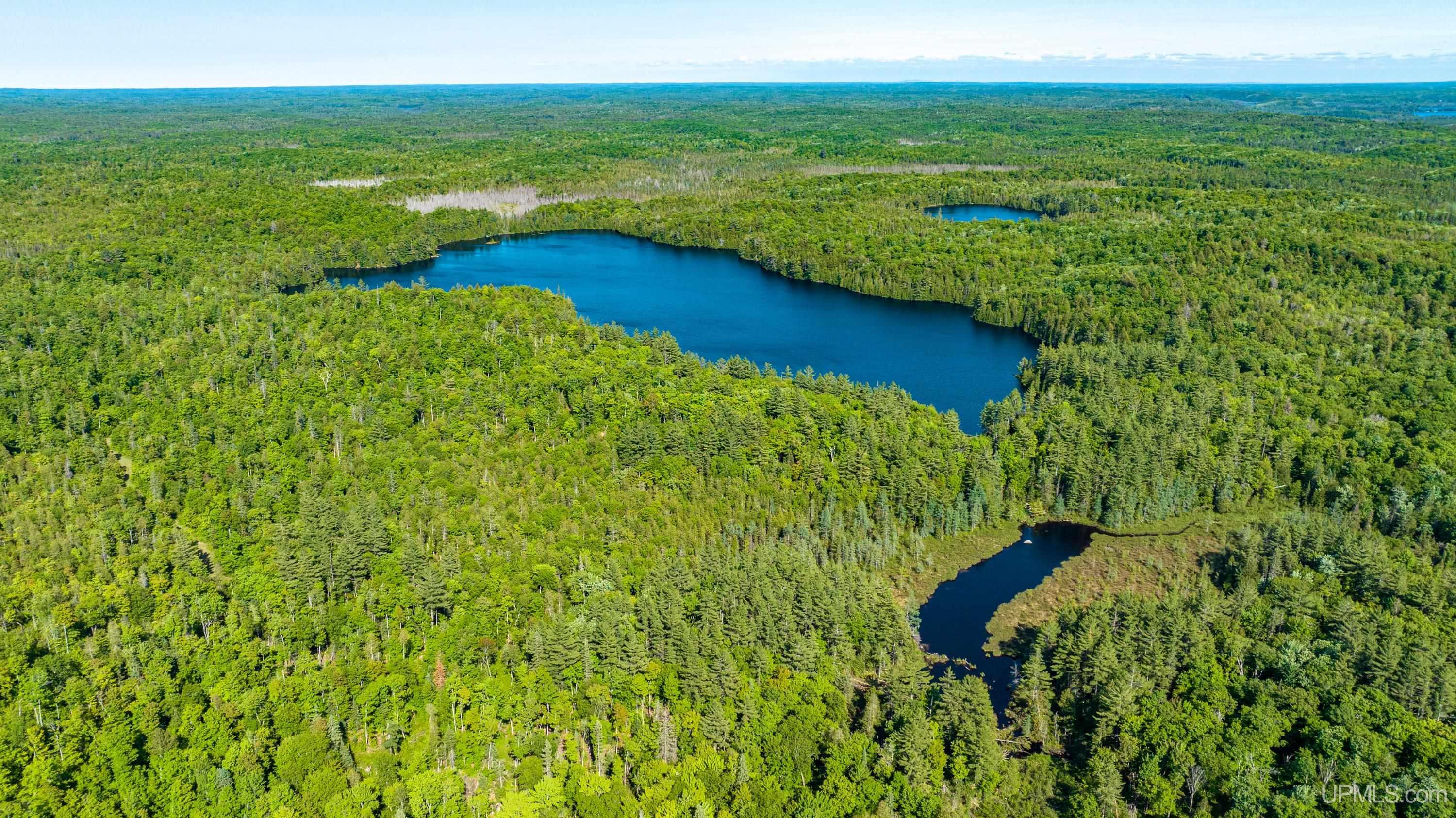 Tbd Tbd Dommer Lake Road Michigamme, MI 49861 - Photo 15 of 25