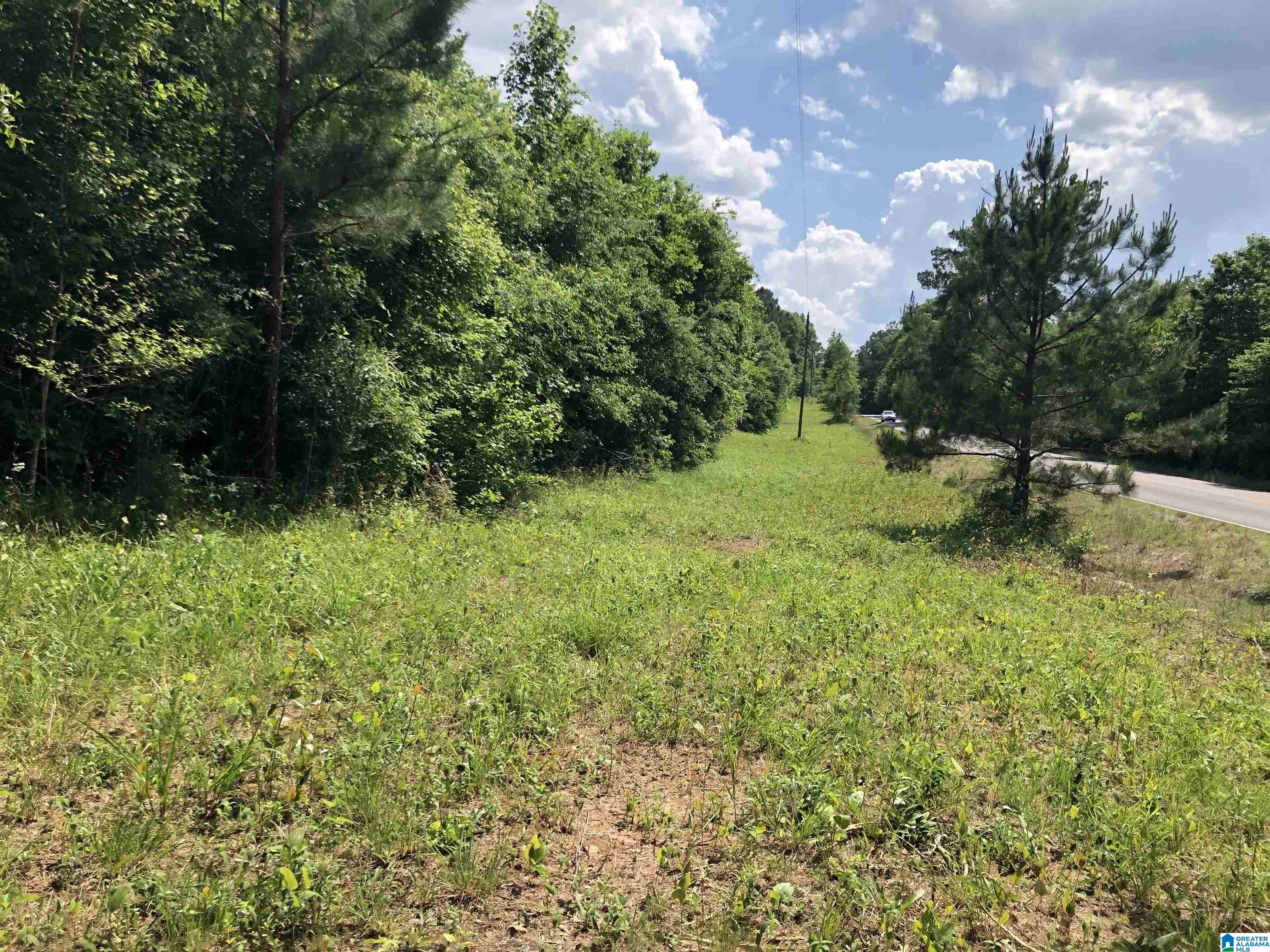 0 Peeks Hill Road, Unit 7 Ohatchee, AL 36271 - Photo 3 of 8