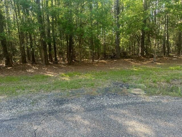 Lavinghouse-parcel C Road Bush, LA 70431 - Photo 1 of 8 Gallery Image 1