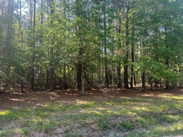 Lavinghouse-parcel C Road Bush, LA 70431 - Photo 3 of 8 Gallery Image 3