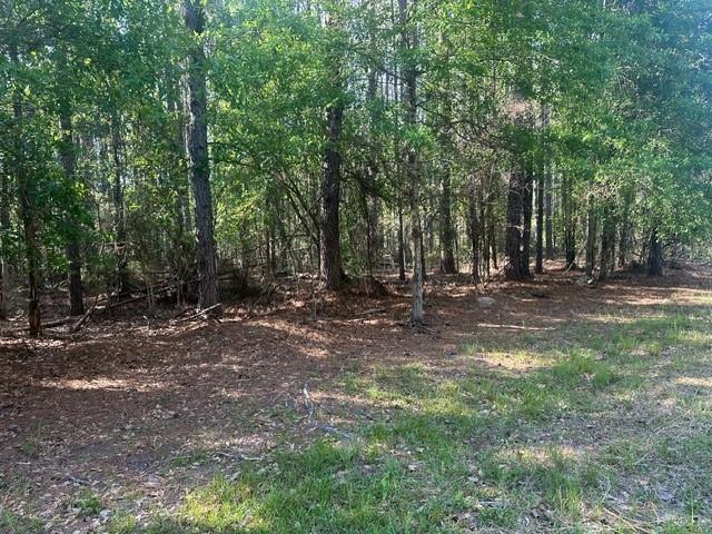 Lavinghouse-parcel C Road Bush, LA 70431 - Photo 4 of 8 Gallery Image 4