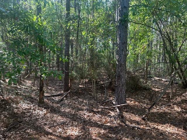 Lavinghouse-parcel C Road Bush, LA 70431 - Photo 7 of 8 Gallery Image 7